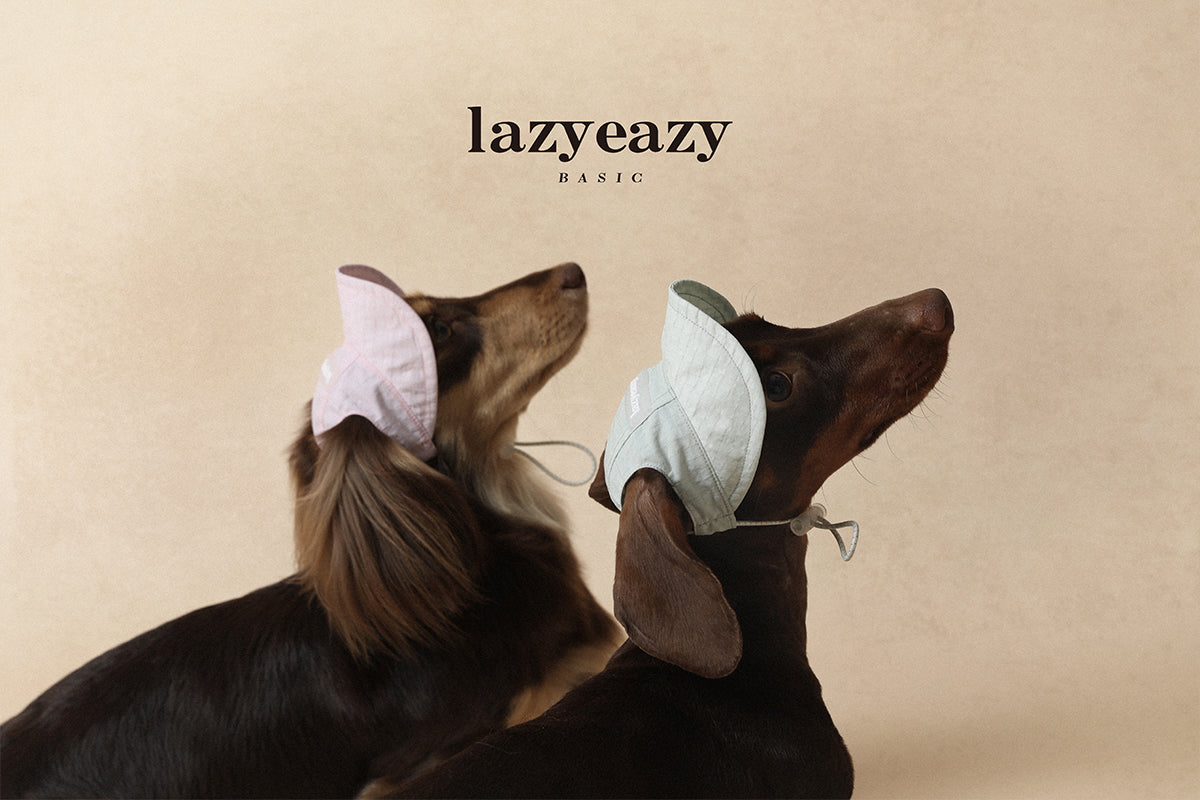 Lazyeazy Plus