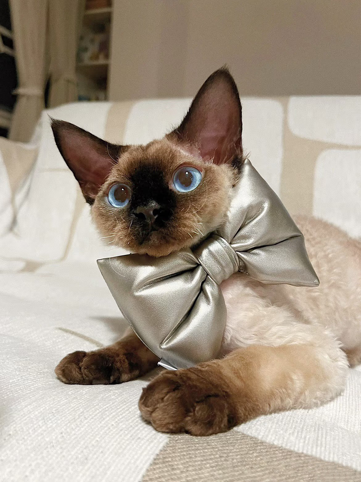 Padded Bow-tie