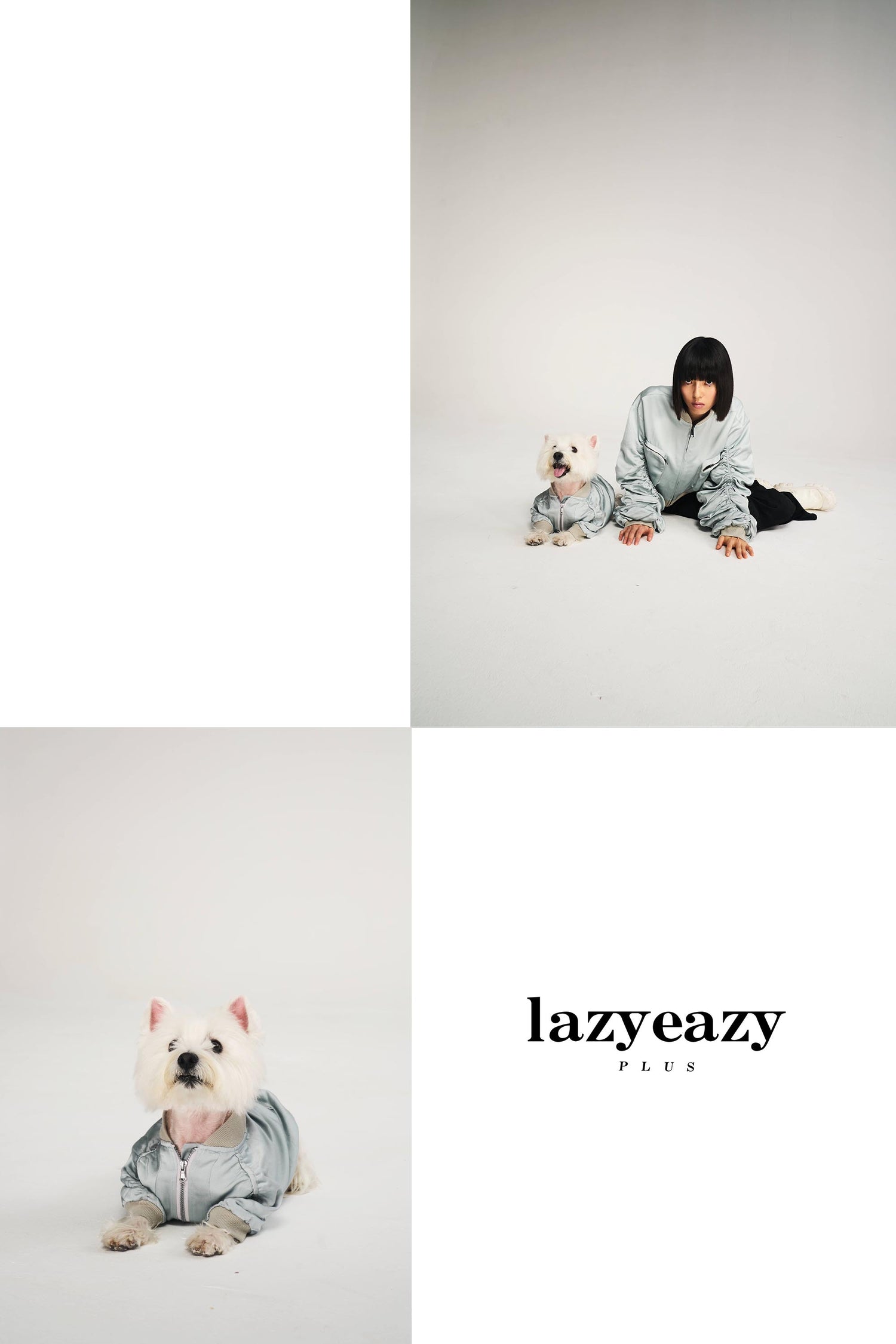 Lazyeazy Plus