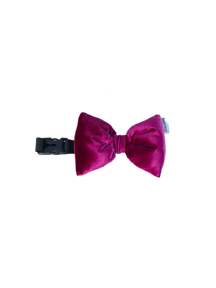 Padded Velvet Bow-tie